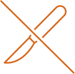 Ícono oficial EXOMIND no invasivo